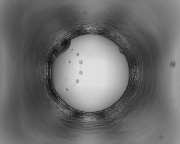 X0000098050702200804111313