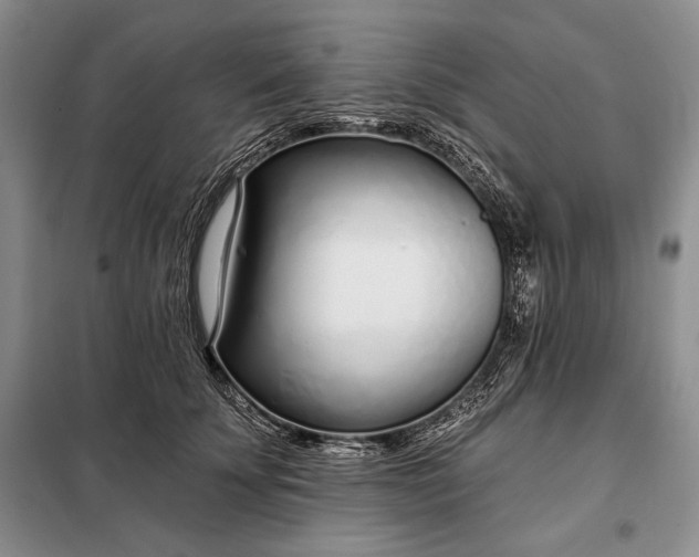 X0000098050707200804111313