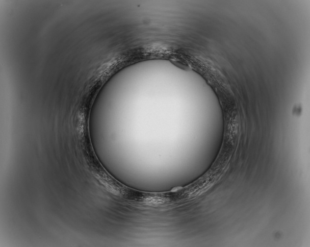 X0000098050708200804111313