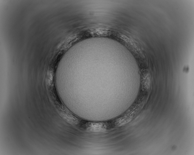 X0000098050709200804111313