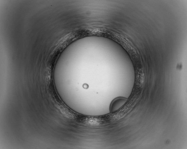 X0000098050710200804111313