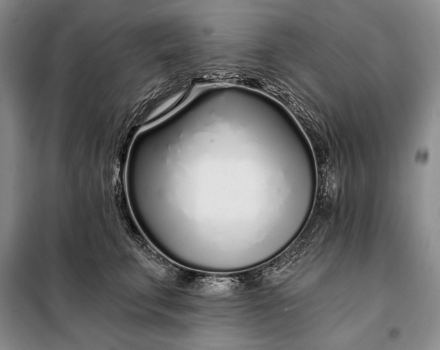 X0000098050711200804111313