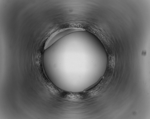 X0000098050712200804111313