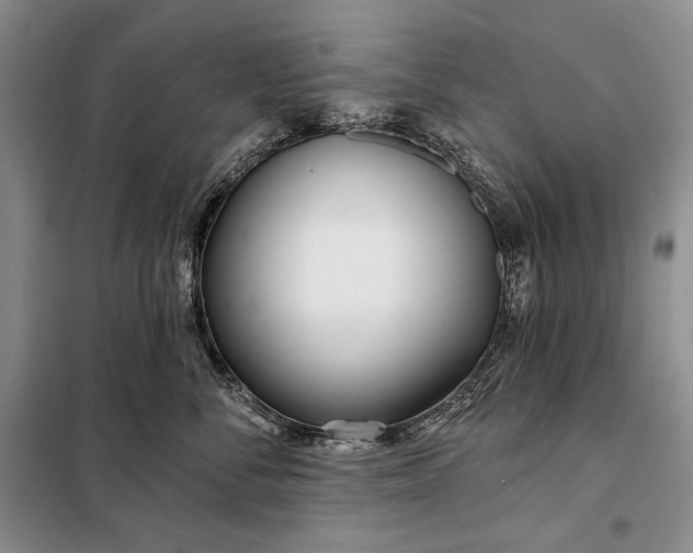 X0000098050716200804111313