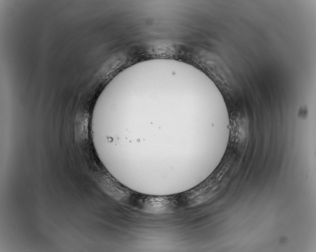 X0000098050717200804111313