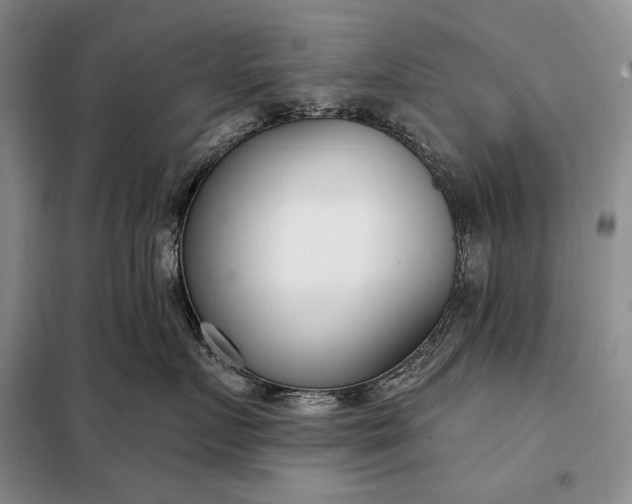 X0000098050719200804111313