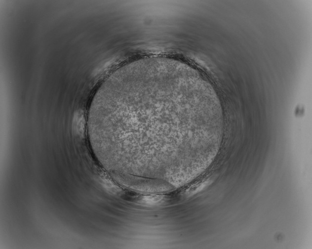 X0000098050720200804111313