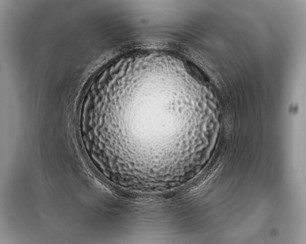 X0000098050721200804111312