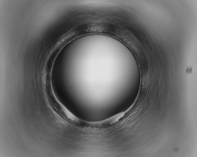 X0000098050722200804111312