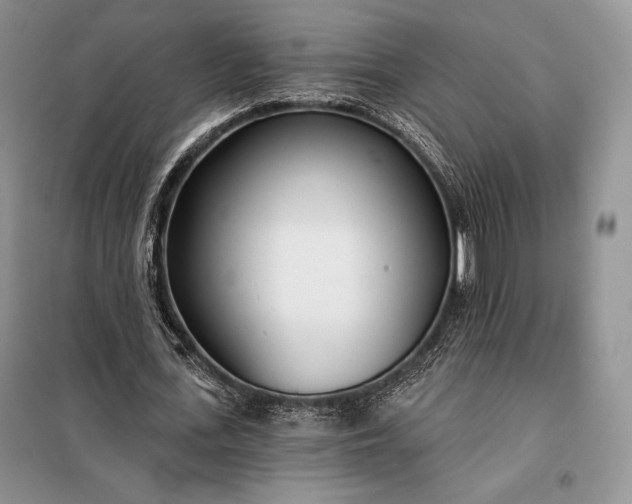 X0000098050723200804111312