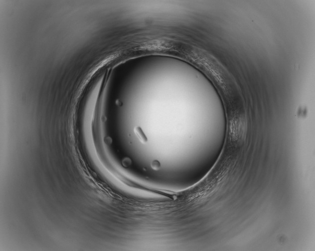 X0000098050724200804111312