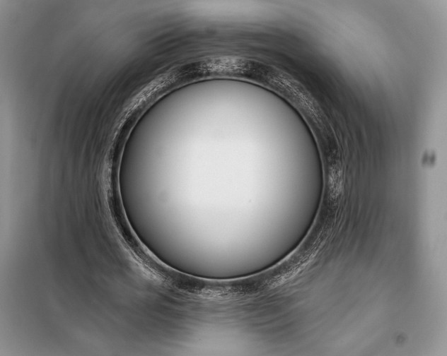 X0000098050725200804111312