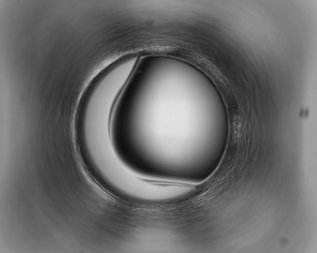 X0000098050726200804111312