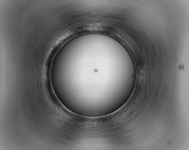 X0000098050727200804111312