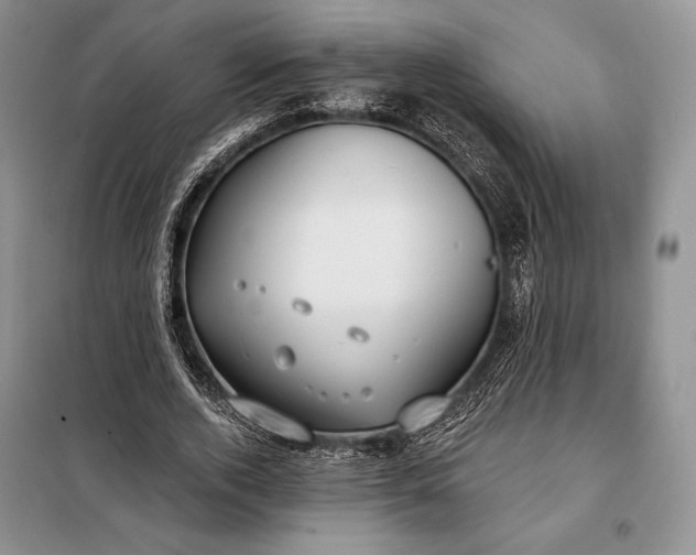 X0000098050728200804111312