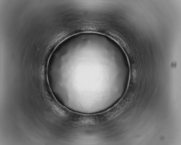 X0000098050729200804111312