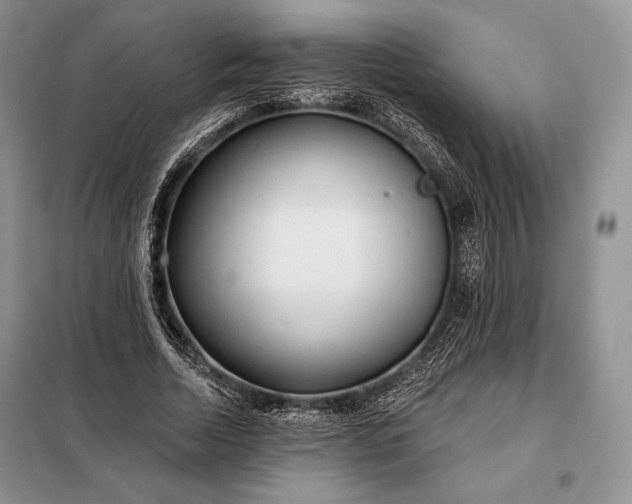 X0000098050730200804111312