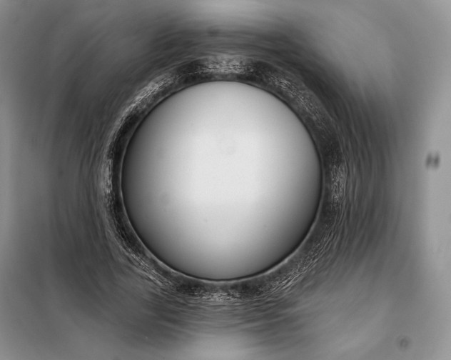 X0000098050731200804111312