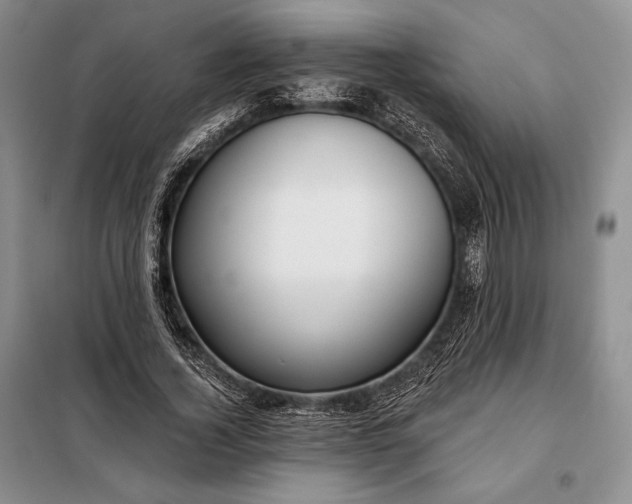 X0000098050732200804111312