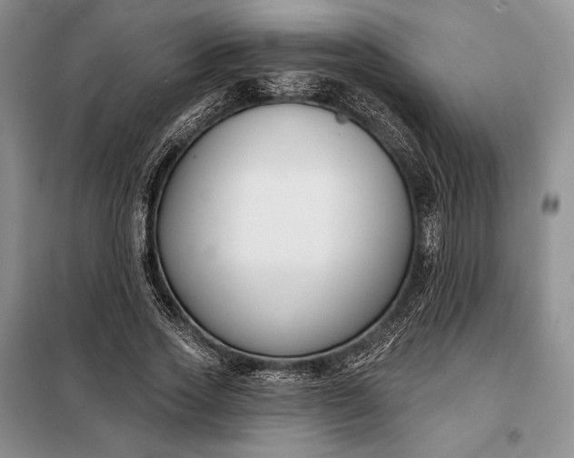 X0000098050733200804111312