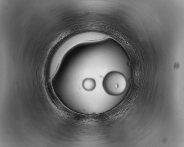 X0000098050734200804111312