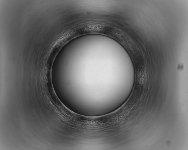 X0000098050735200804111312