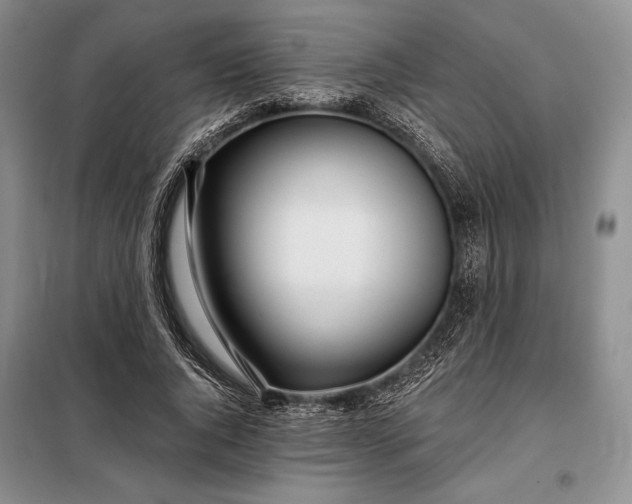 X0000098050736200804111312