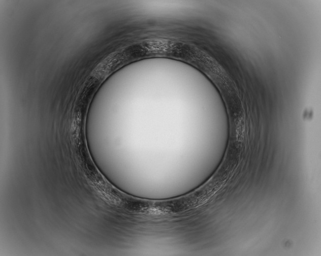 X0000098050737200804111312