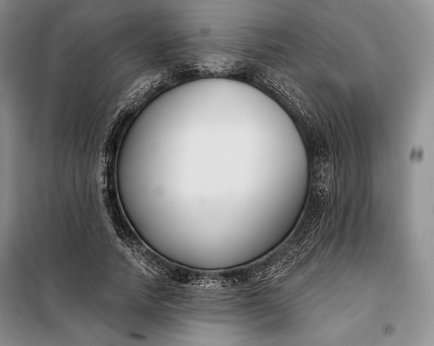 X0000098050738200804111312