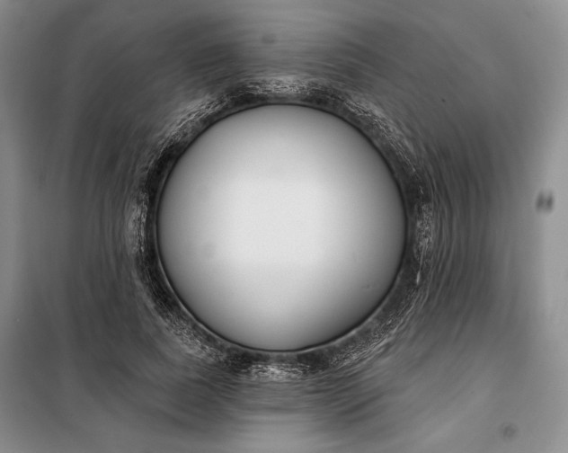 X0000098050739200804111312