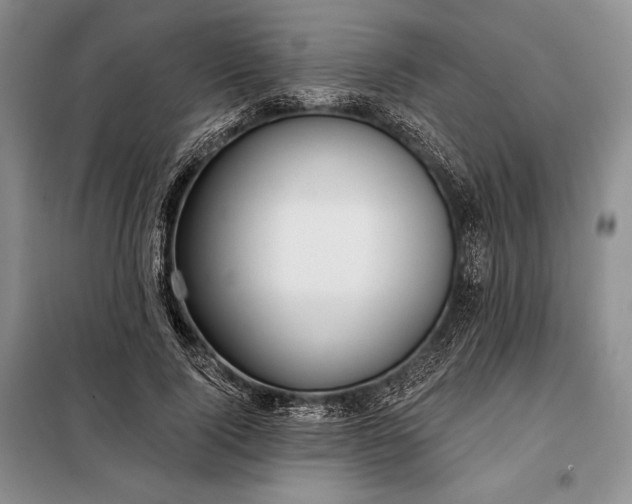 X0000098050740200804111312