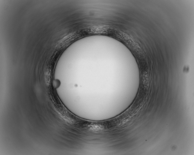 X0000098050741200804111312