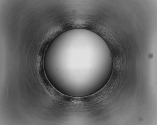 X0000098050742200804111312