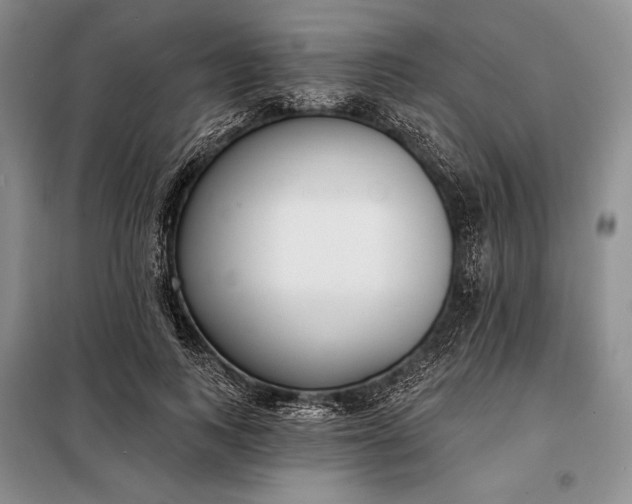 X0000098050743200804111312