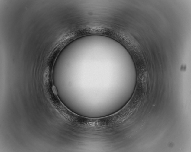 X0000098050744200804111312