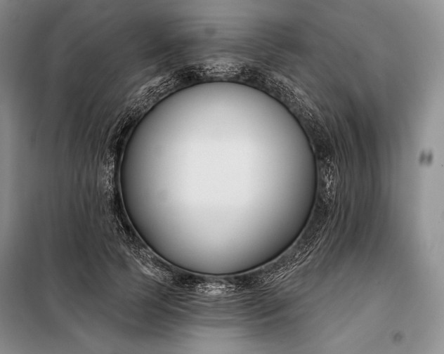 X0000098050745200804111312