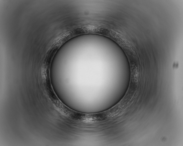 X0000098050746200804111312