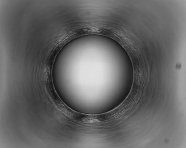 X0000098050747200804111312