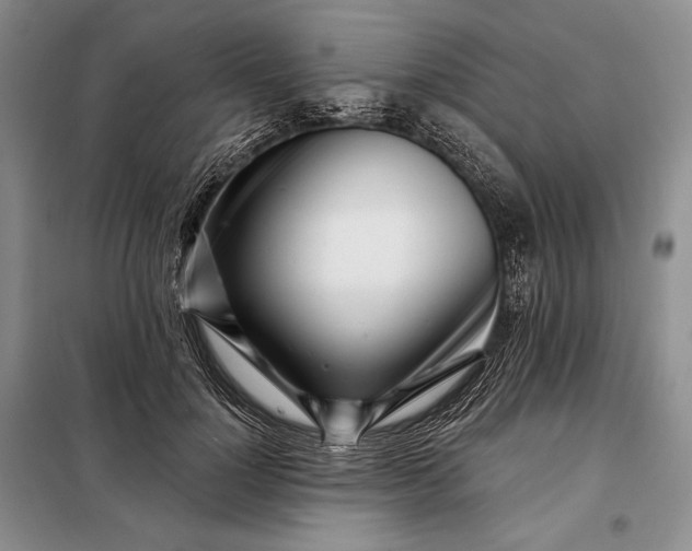 X0000098050748200804111312