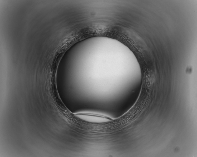 X0000098050750200804111312