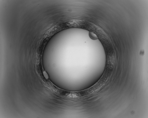 X0000098050751200804111312