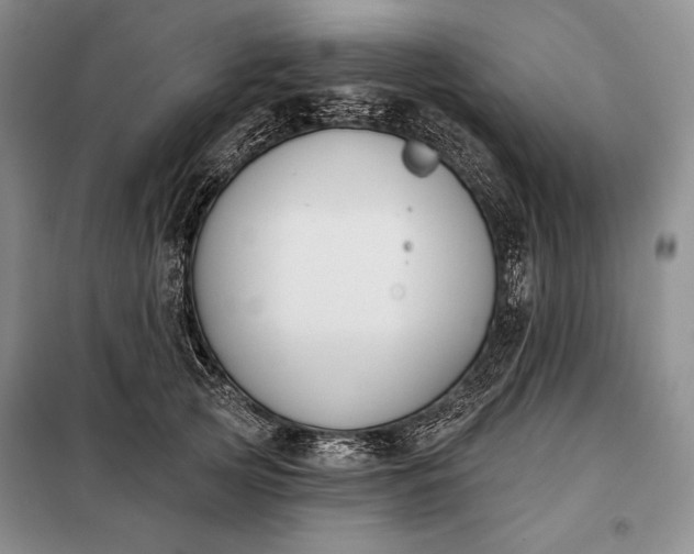 X0000098050753200804111312