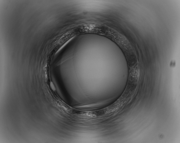 X0000098050754200804111312