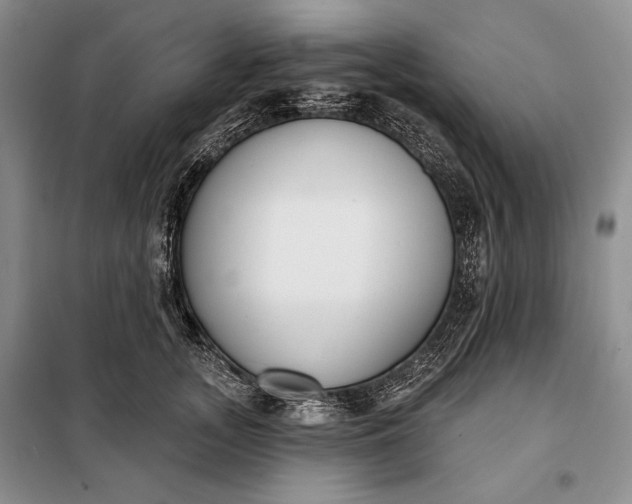 X0000098050755200804111312