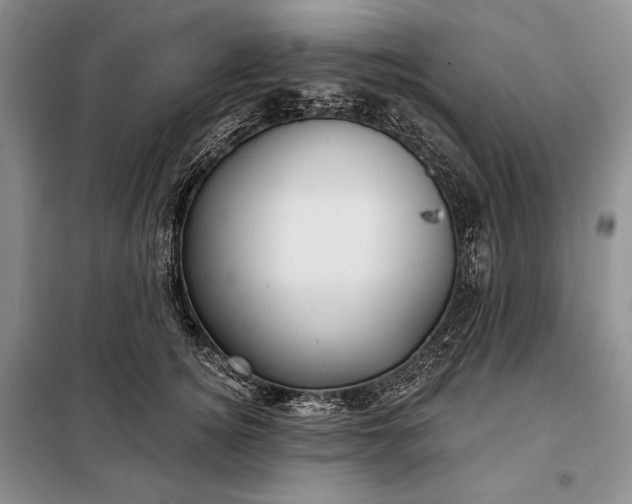 X0000098050756200804111312