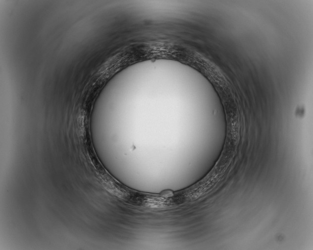 X0000098050757200804111312