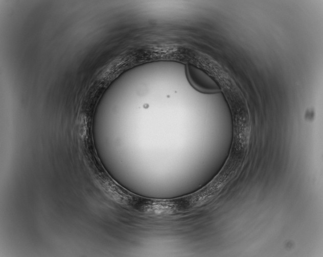 X0000098050758200804111313