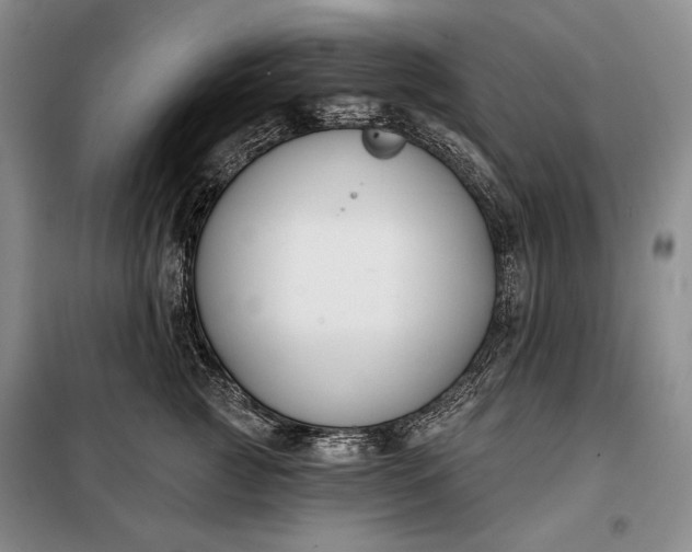 X0000098050761200804111313