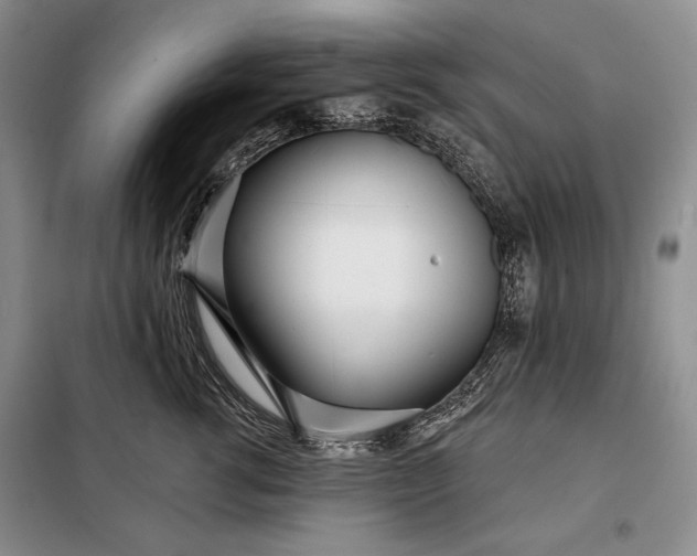 X0000098050762200804111313