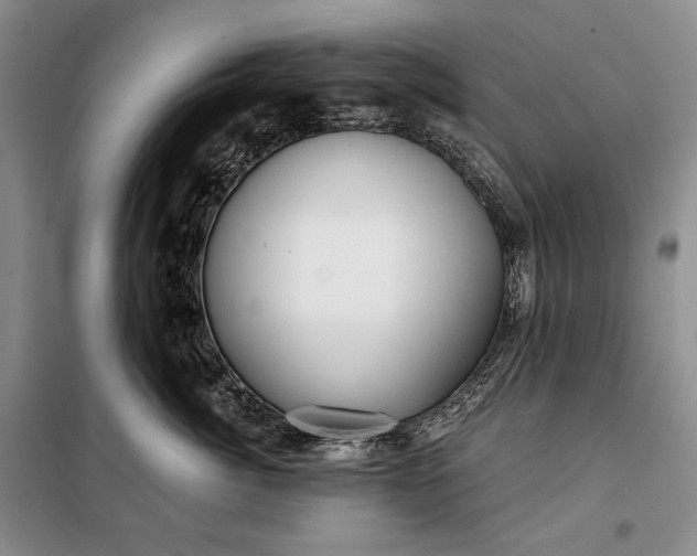 X0000098050764200804111313